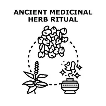 Ancient medicinal herb ritual processing natural elements Stock Illustration