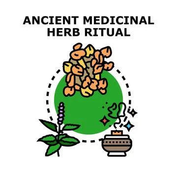 Ancient medicinal herb ritual processing natural elements Stock Illustration