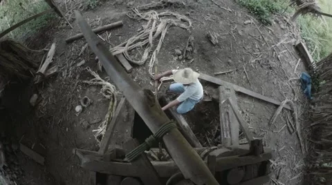 Ancient method to squeeze sugar cane Stock Footage 66452603