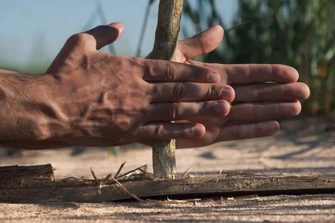 Ancient method for starting a fire in the wilderness with limited resources. Foto stock