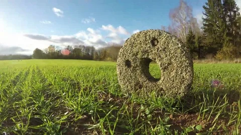 Ancient millstone in the fields, time lapse 4K Stockbeeldmateriaal 69149681