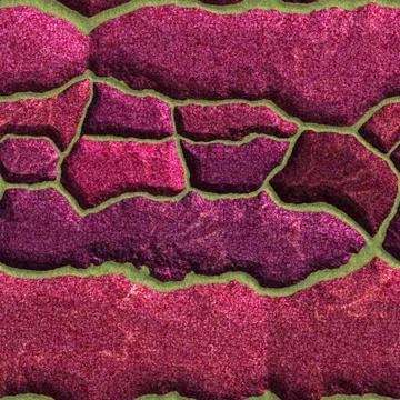 Ancient mosaic Stock Illustration