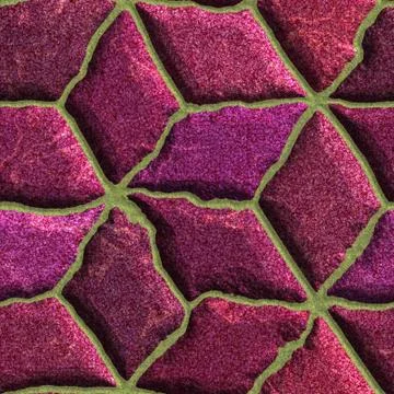 Ancient mosaic Stock Illustration