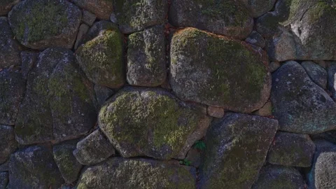 Ancient Moss-Covered Stone Wall Full Frame Texture with Dark Irregular Rocks Stock Footage 334631758