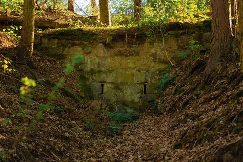 Ancient moss-covered stone wall with narrow openings hidden in Czech forest near Stock Photos