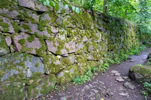 Ancient Moss-Covered Stone Wall in a Forest Path Foto stock