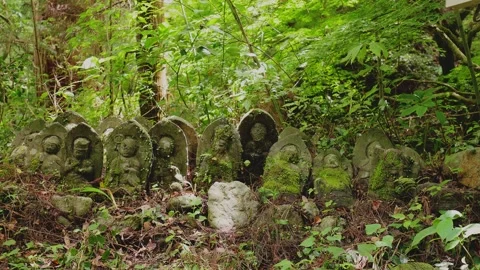 Ancient mossy Jizo stone statues lined up in a fresh green forest, Saga Vídeos de archivo 336122513