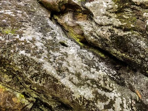 Ancient mossy rock texture background Stock Photos