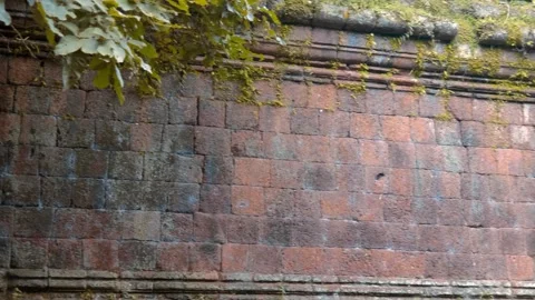 Ancient mud brick wall covered with moss and fungi in Angkor Wat, Cambodia Stock Footage 318704524