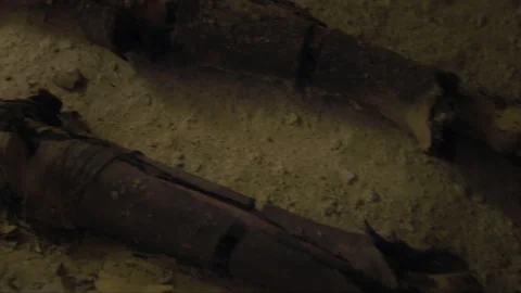 Ancient mummies lying in a dusty tomb Stock Footage 336752162