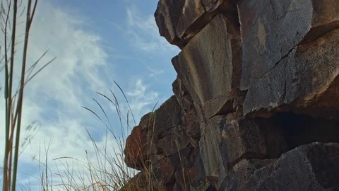 Ancient Native American Indian First Nations Petroglyph Rock Art of lizard in Stock-Footage 81577846