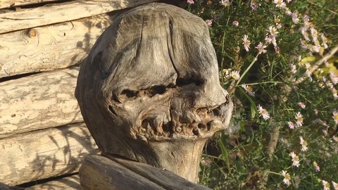 Ancient Objects Lifestyle Stock Footage 72434657