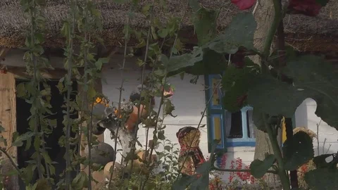 Ancient Objects Lifestyle Stock Footage 72434783