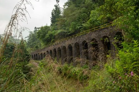 Ancient old bridge with grass Stock Photos