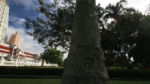 Ancient pagoda architecture Stock Footage 60564653