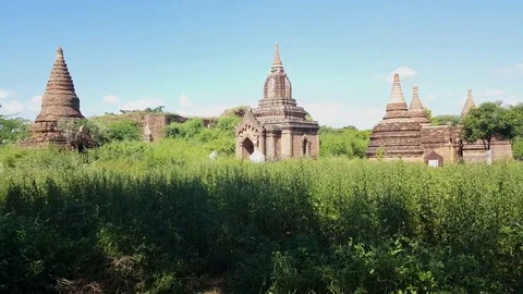 Ancient pagodas spread in midst of grass field on a sunny day, Bagan landscape Видео 78891392