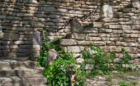 Ancient path Stock Photos