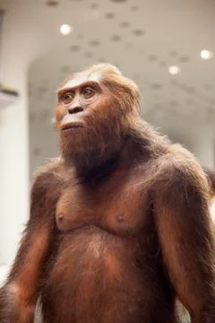 Ancient people Stock Photos