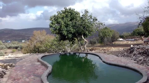 Ancient pools with a tree Stock Footage 48911849