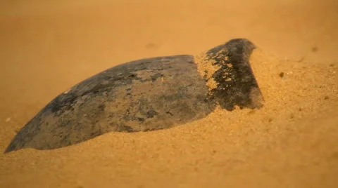 Ancient pot. Vídeo Stock 546467