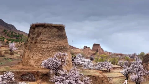 Ancient Rammed Earth Fortification Walls and Blooming Trees in Beijing China Stock Footage 346570016