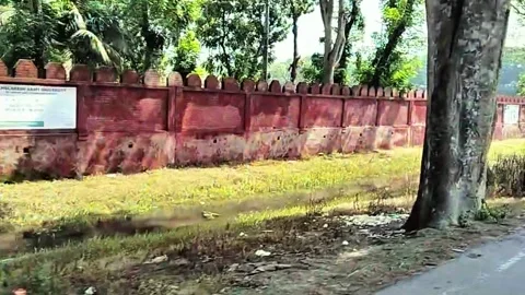 Ancient red brick castle wall with lush green trees and foliage Stock Footage 319329185