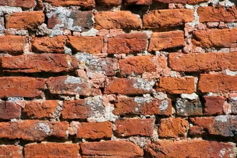 Ancient red brick wall Stock Photos