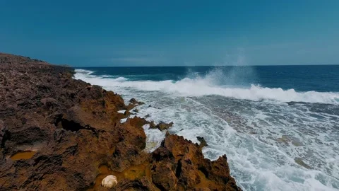 Ancient Red Coral Reef Shelf and Ocean Waves on Rugged Coast Stock Footage 337583071