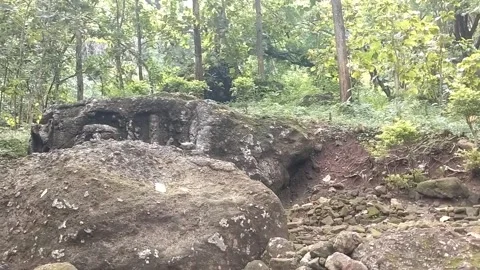 Ancient Relics in the Wild Stock Footage 329242395