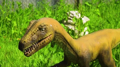Ancient reptile dinosaur realistic model open his mouth in vivid grass Stock Footage 223531242