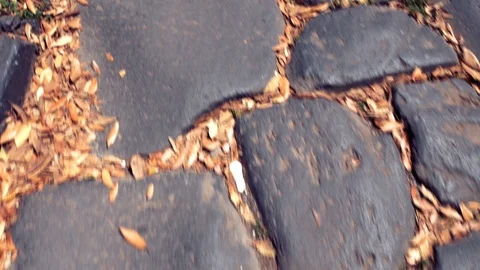 Ancient road built by the Romans, ancient Appia Stock-Footage 90120351