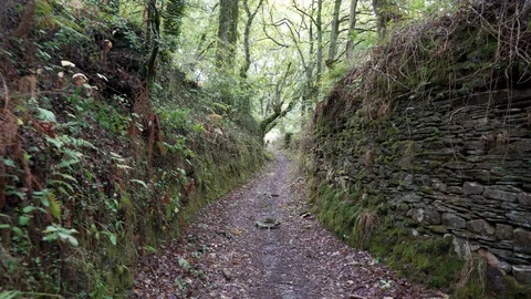 Ancient road Stock Footage 118355613