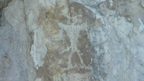 Ancient rock art Stock Footage 236144116