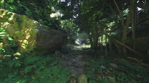 Ancient rock formations hide secluded grotto beneath dense foliage Stock Footage 335594146
