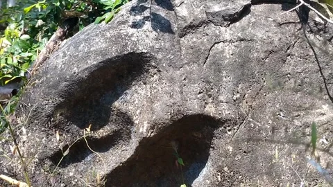 Ancient Rock Petroglyph Video stock 341263095
