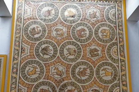 Ancient Roman Mosaic Floor Panel with Animals in Circular Medallions Stock Photos