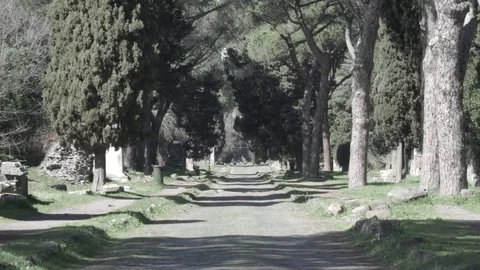 Ancient Roman road, with trees Stock Footage 73984026