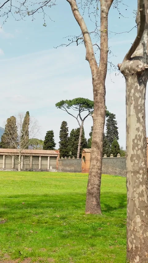 Ancient Roman stone walls, columns, and a green lawn with Mount Vesuvius at Vidéo 336806261