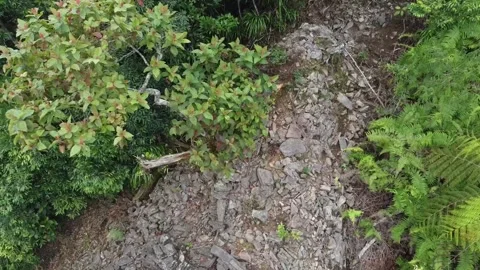 An ancient ruin in the middle of the forest on Mount Muria Stock-Footage 278961191
