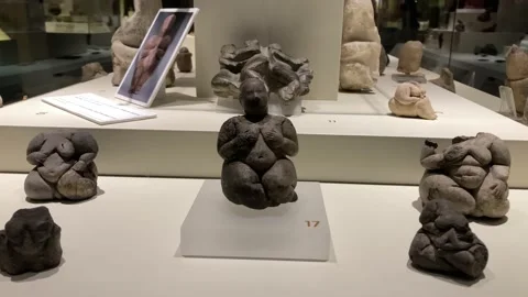 Ancient ruins and items on display at the Anatolian Civilizations Museum Stock Footage 237284100