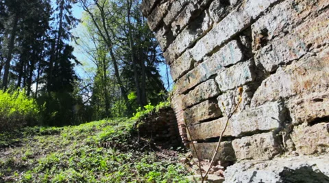 Ancient ruins in the forest 스톡 동영상 38548561