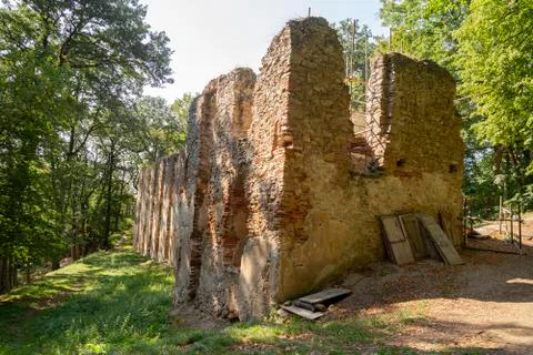 Ancient ruins in forest Stock Photos