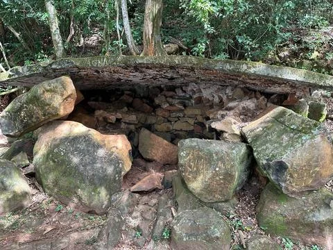 Ancient Ruins in the Forest Stock Photos