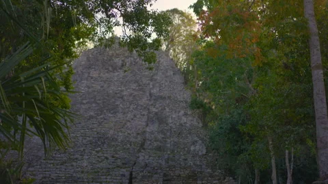 Ancient ruins of Mayan pyramids at the archaeological site of Coba on the Stock Footage 343774027