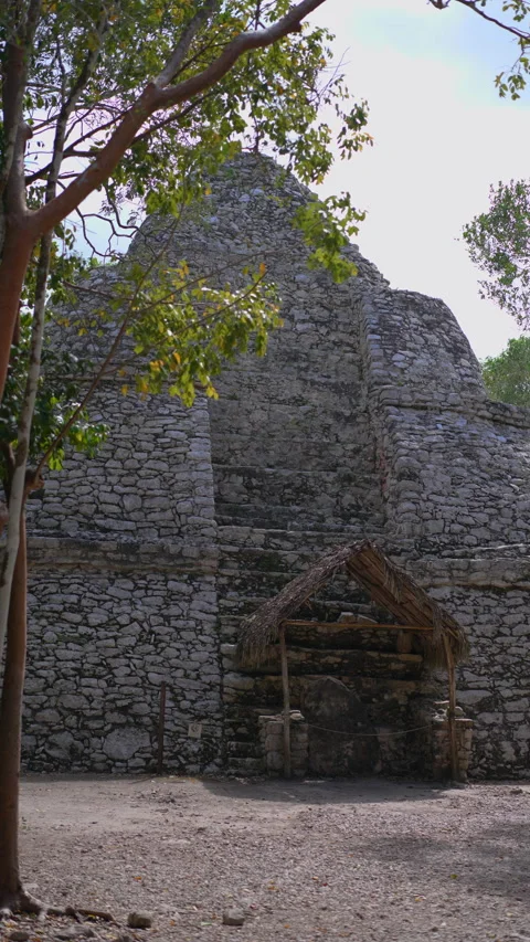 Ancient ruins of Mayan pyramids at the archaeological site of Coba on the Stock Footage 343775015