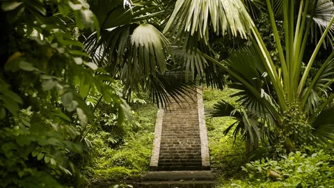 Ancient Ruins in the Tropics Stock Footage 70340665