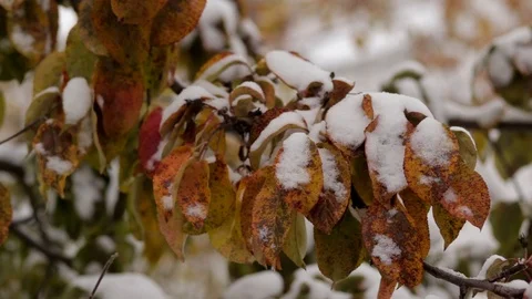 Ancient Russian monastery Stock Footage 121203002