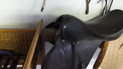 Ancient saddles for horses Stock Footage 113948899