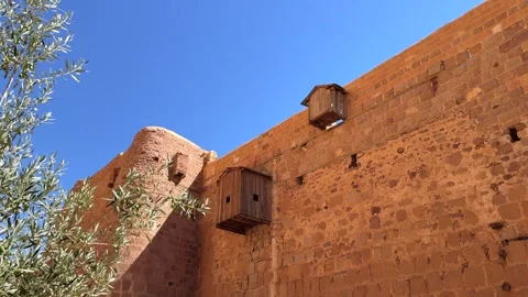 Ancient Saint Catherine monastery wall with olive tree in foreground Stock Footage 341452044