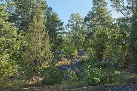 Ancient seashore. Stock Photos